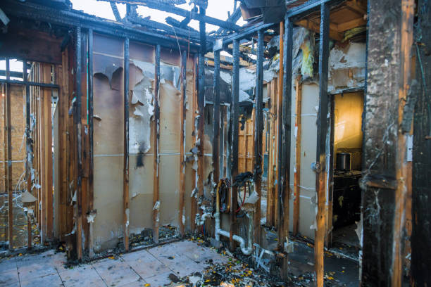 Professional Smoke Damage Removal technician working in Randolph, MN